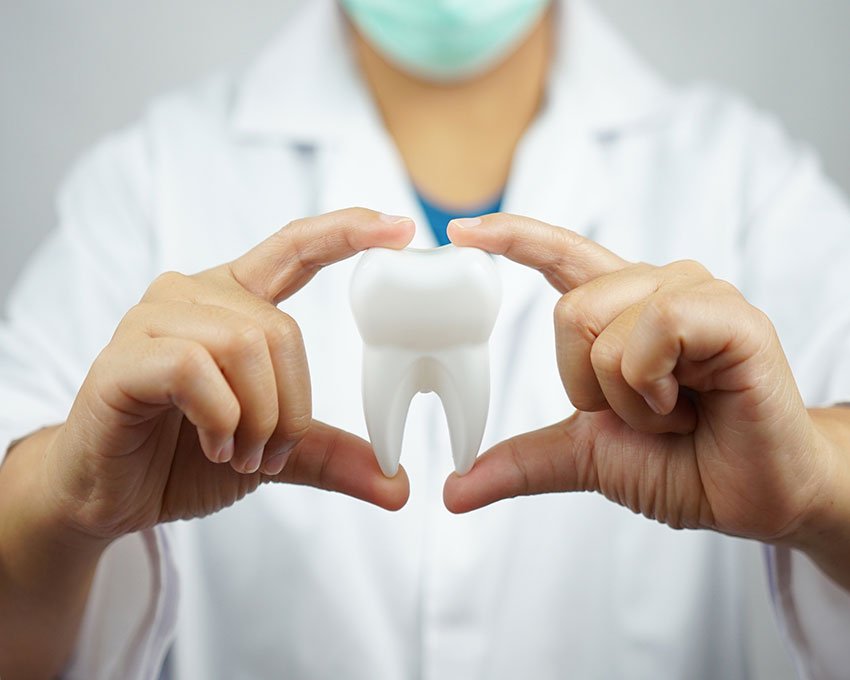 MATRIZ CURRICULAR: ODONTOLOGIA